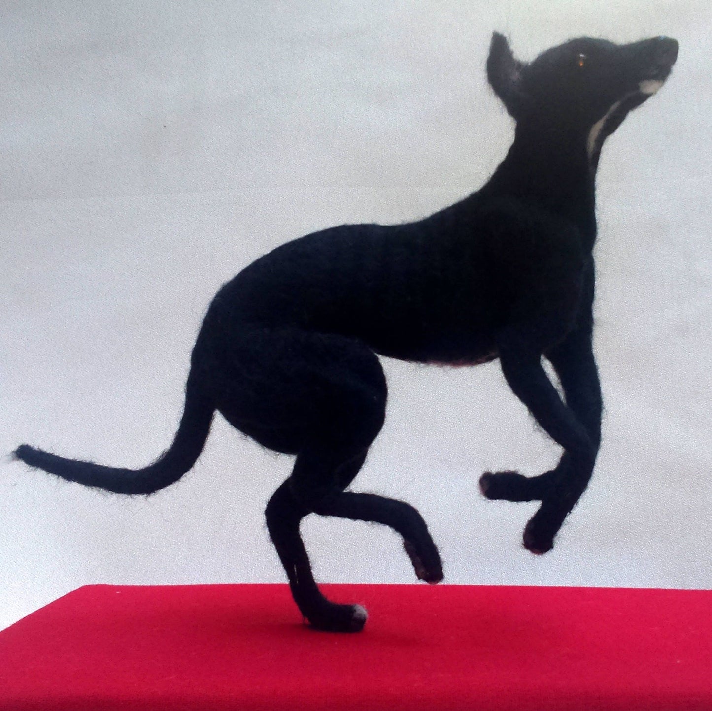 needle-felted dog miniature Faux taxidermy dog mount