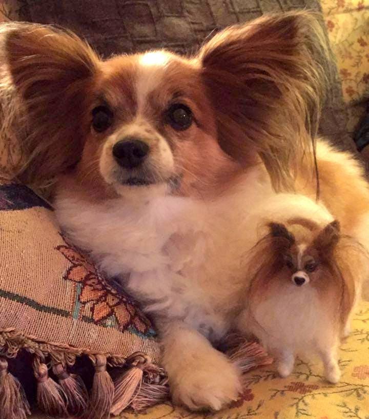 Papillon needle felted dog miniature custom felted dog replica custom