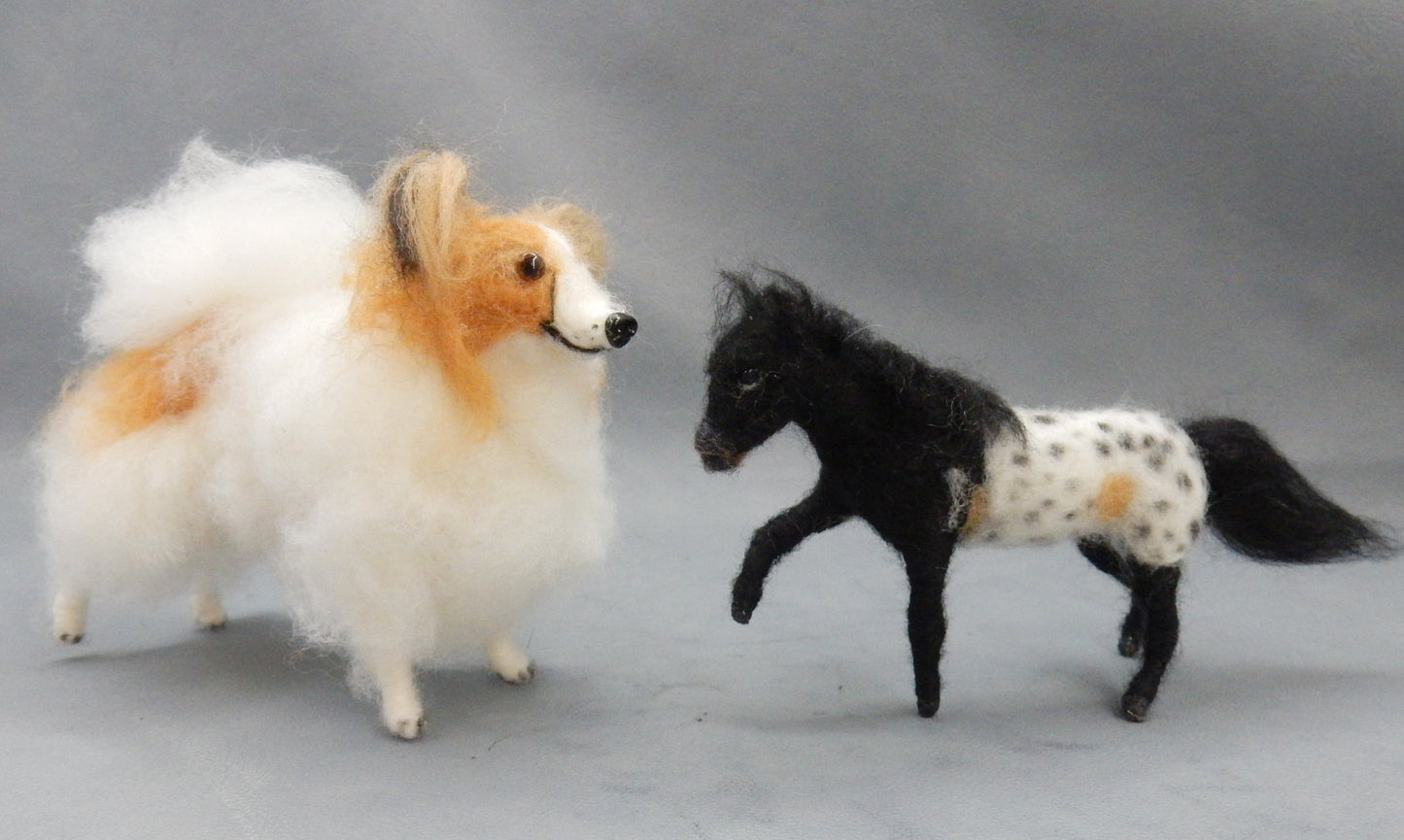 Ready to ship fawn Papillon miniature