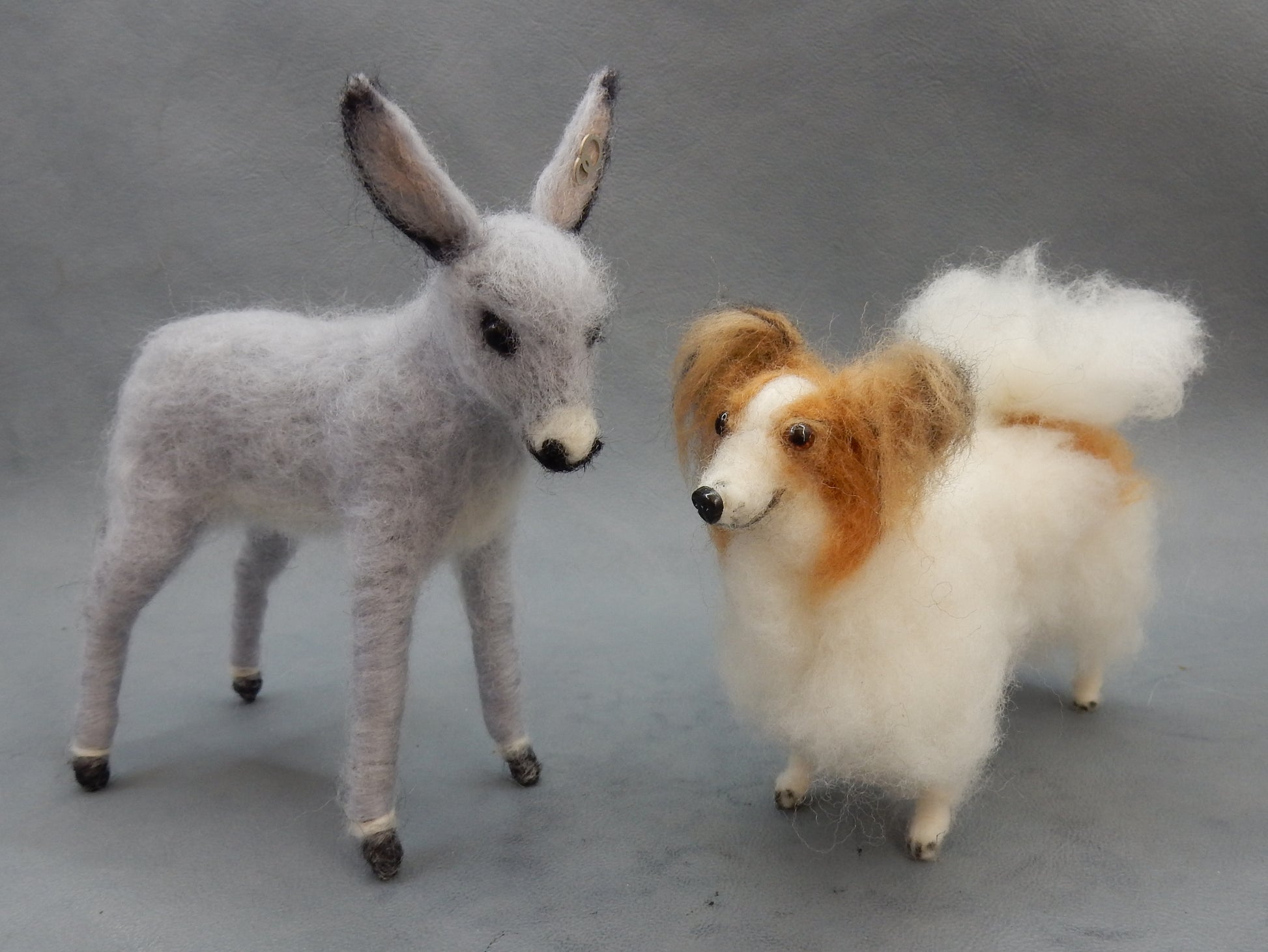 Ready to ship fawn Papillon miniature