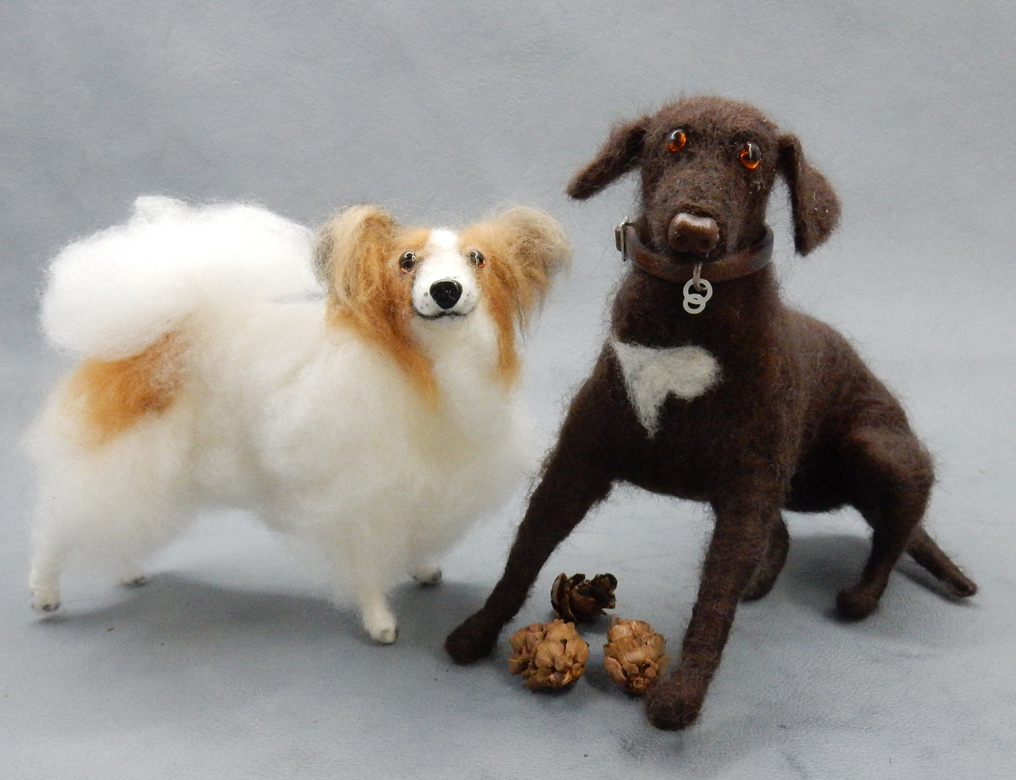 Ready to ship fawn Papillon miniature