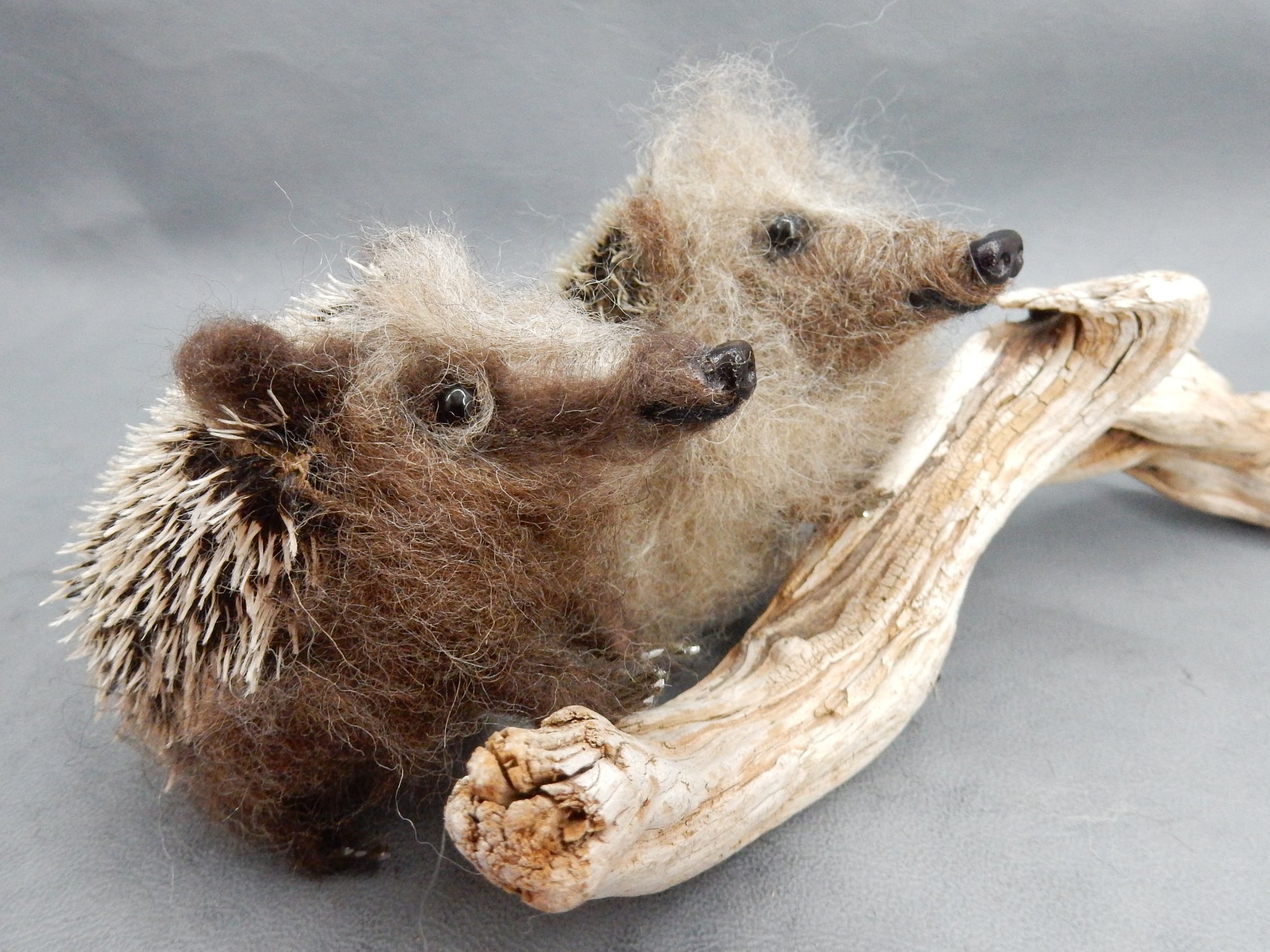 Hedgehog miniature