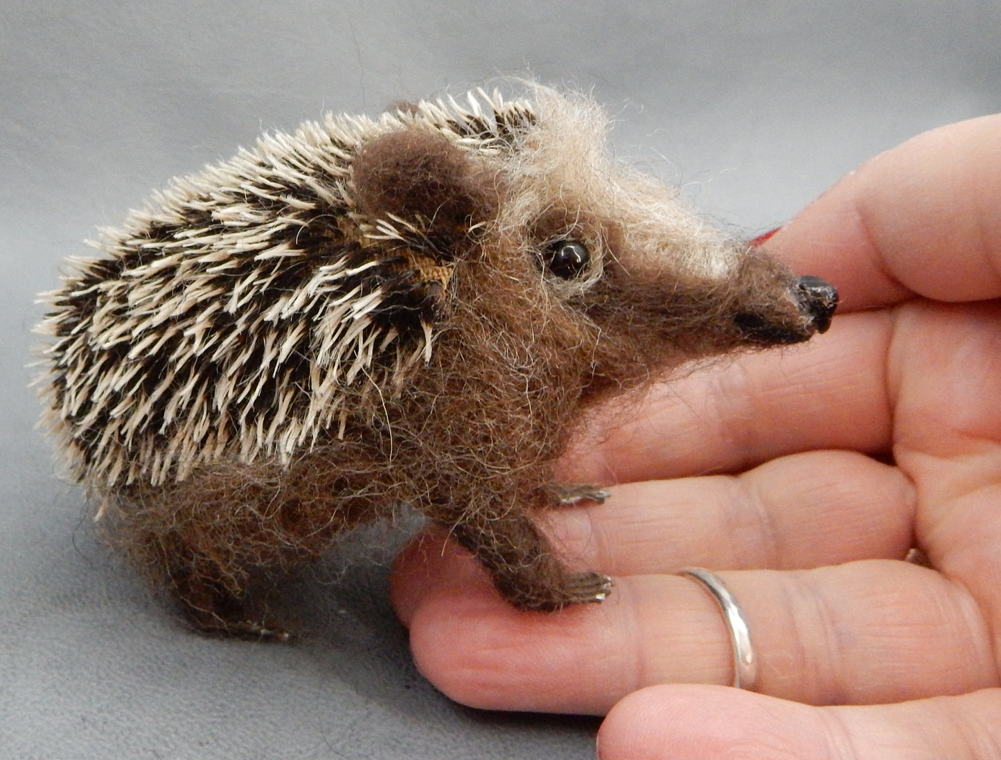 Hedgehog miniature