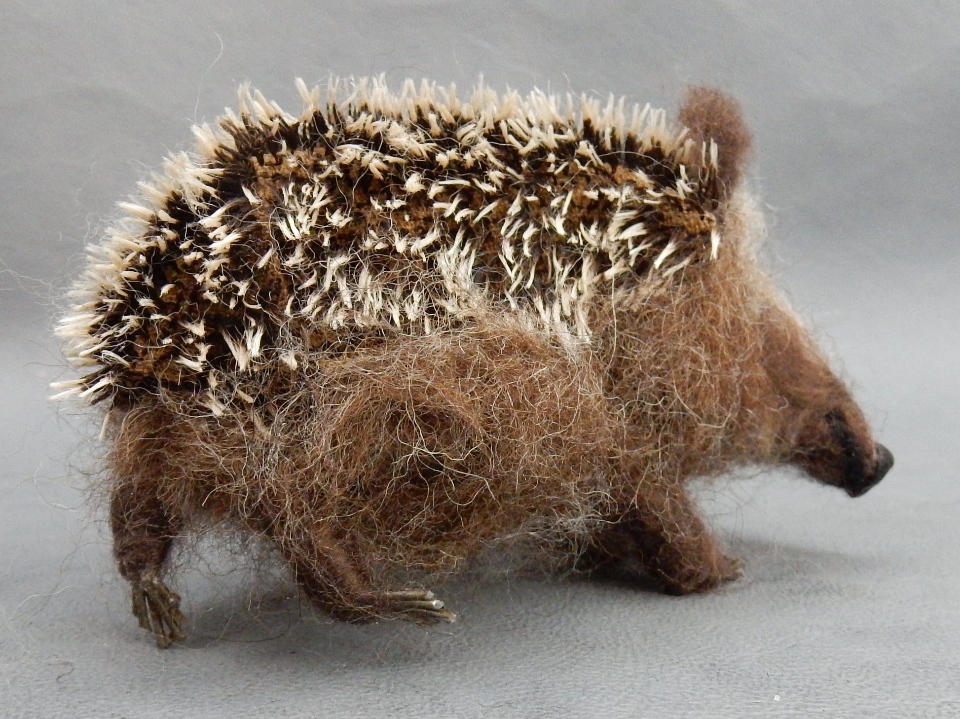 Hedgehog miniature