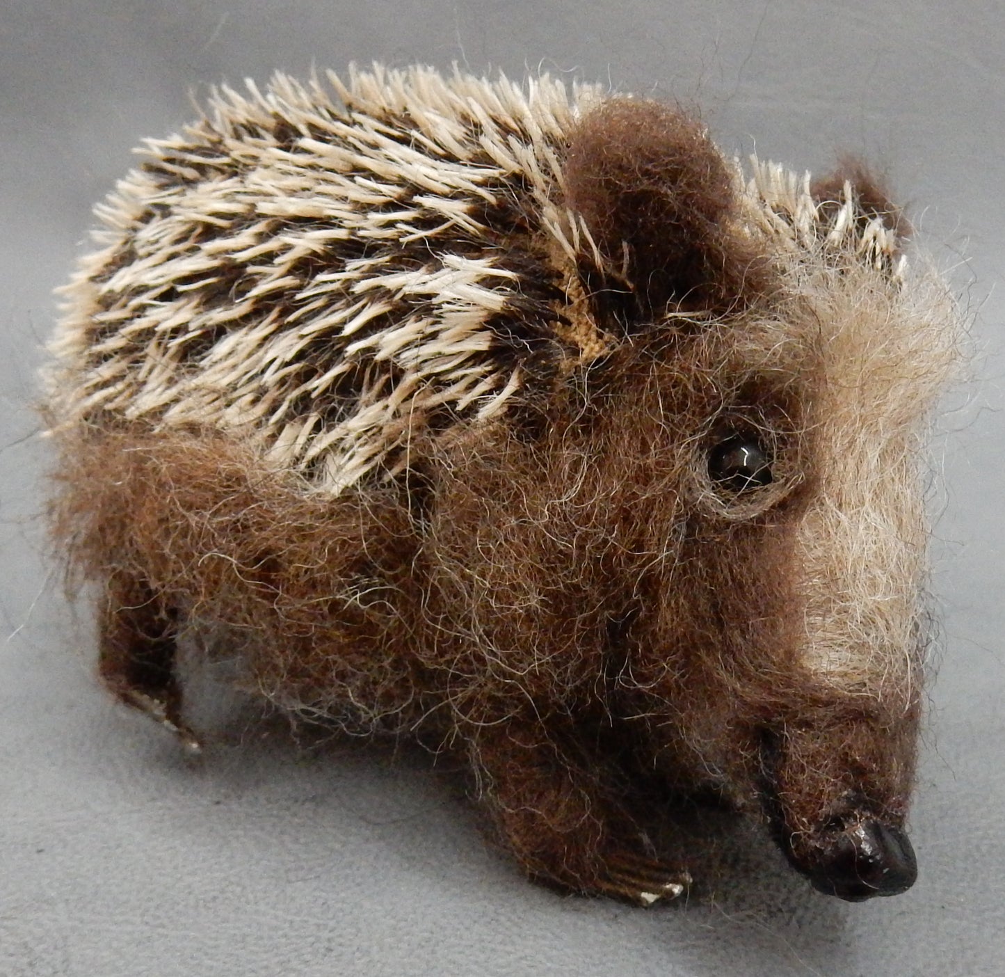 Hedgehog miniature