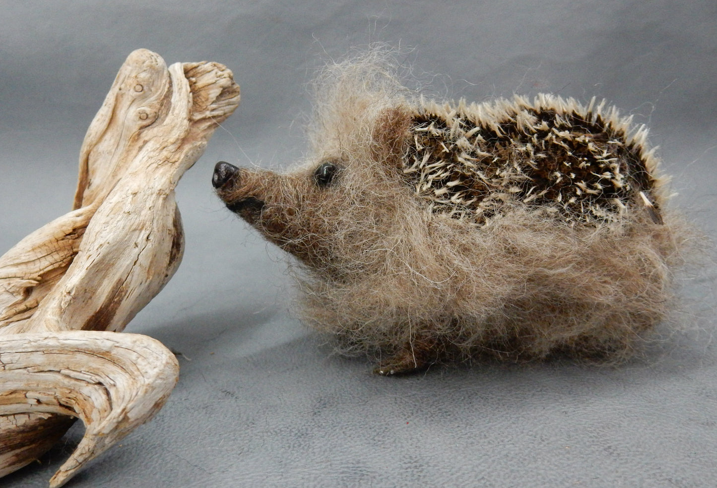 Hedgehog miniature