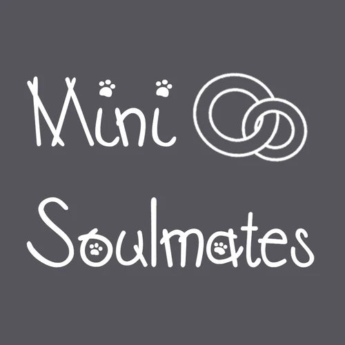 Mini Soulmates