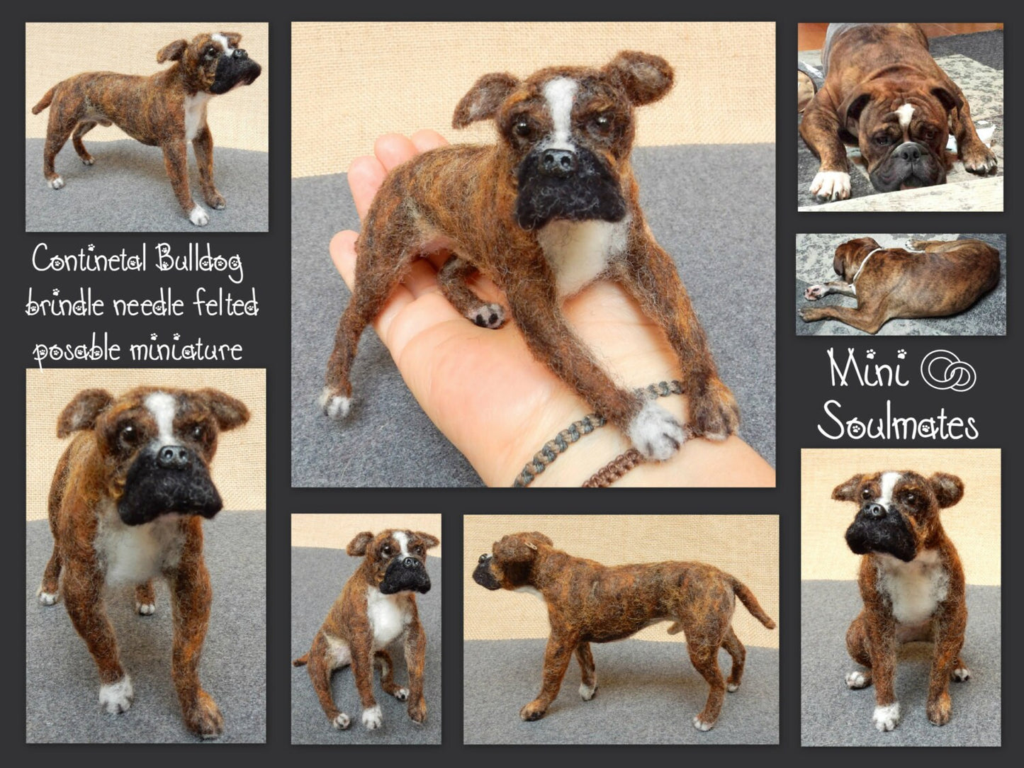 Continental bulldog needle-felted dog miniature