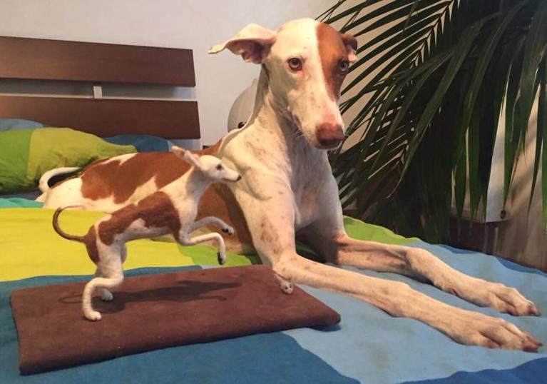 needle-felted dog miniature Faux taxidermy dog mount