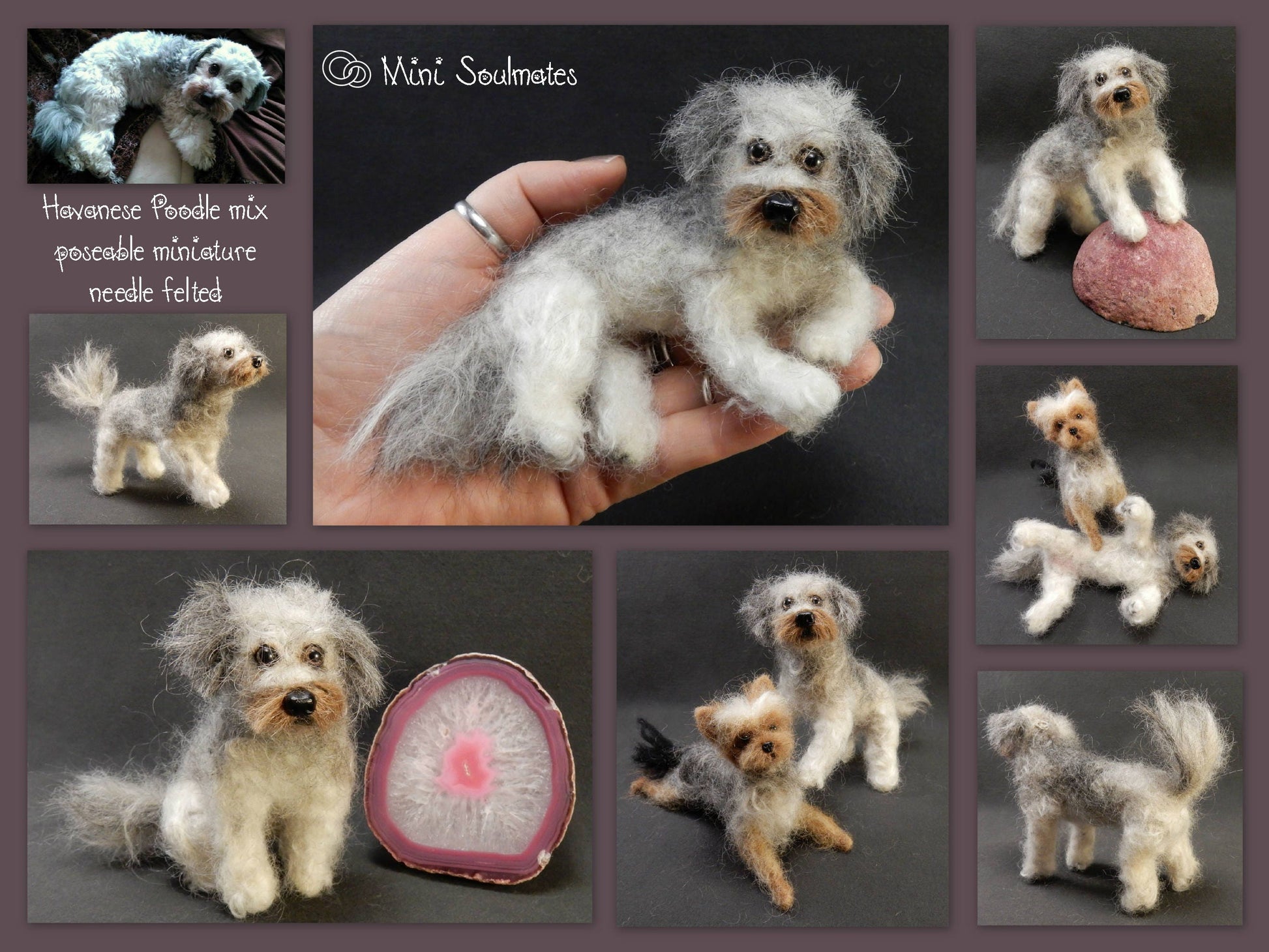 Havanese needle-felted dog miniature custom dog replica