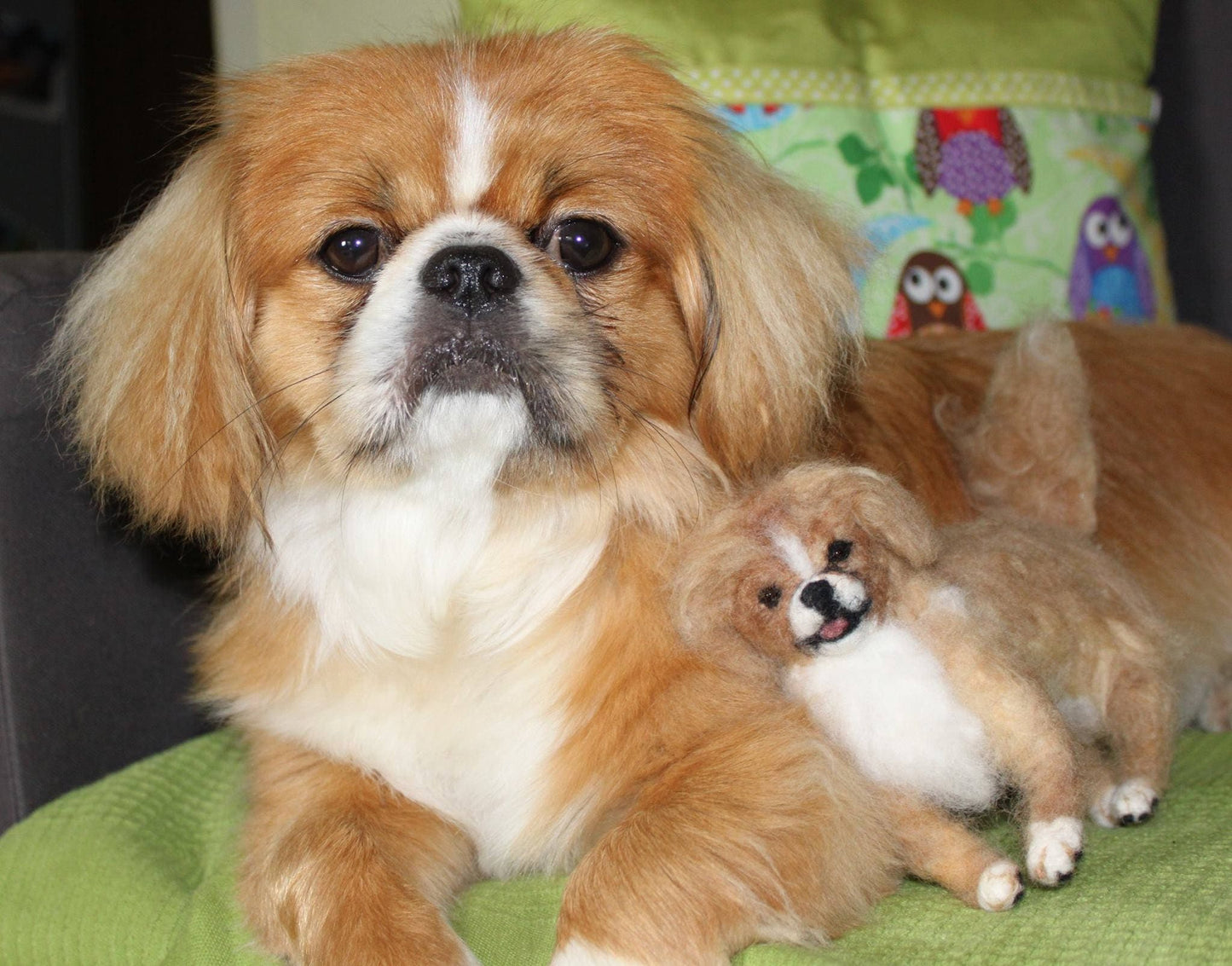 Pekingese needle felted dog Japanese Chin custom dog miniature