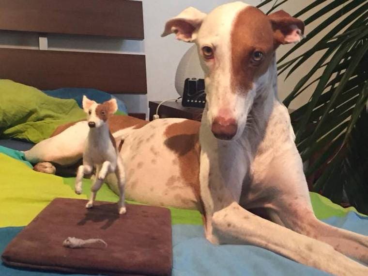 needle-felted dog miniature Faux taxidermy dog mount