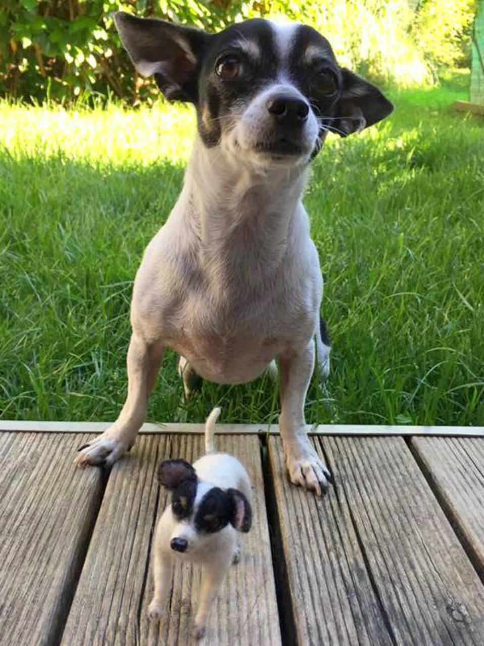 White Chihuahua needle felted dog portrait