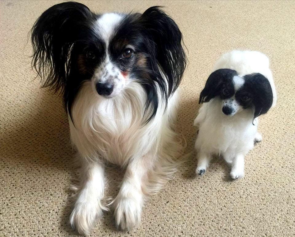 Papillon needle-felted dog sculpture rainbow bridge gift