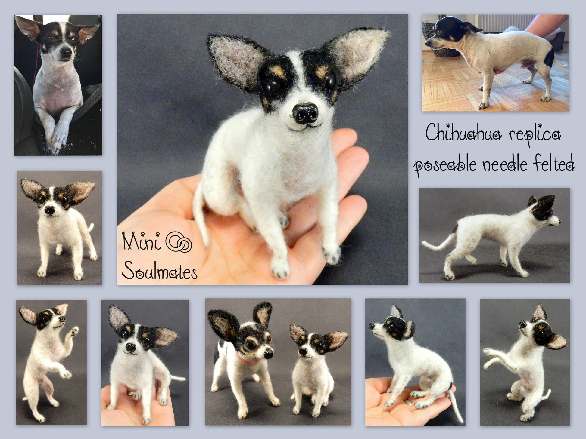 White Chihuahua needle felted dog portrait