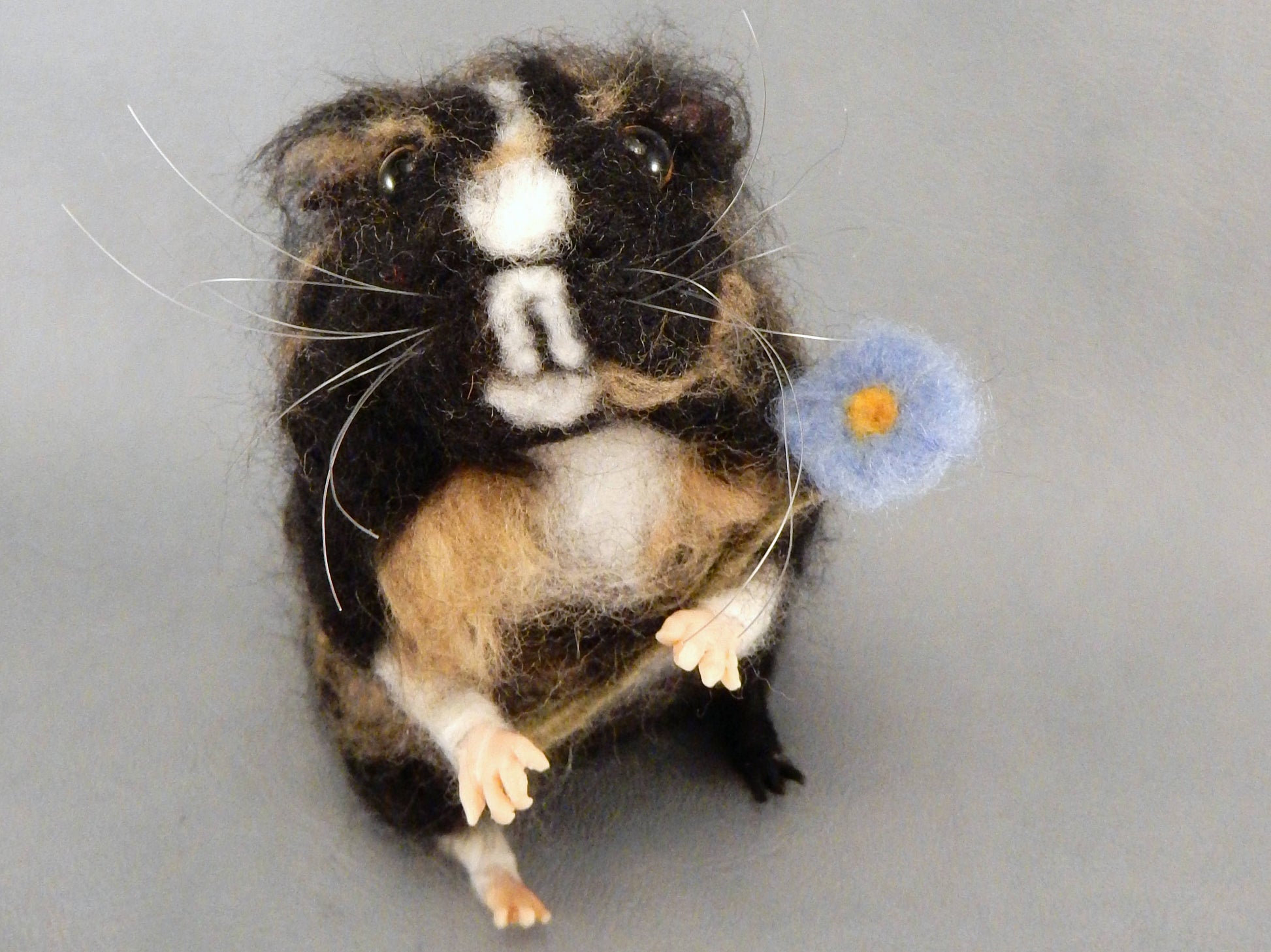 Custom Guinea Pig miniature