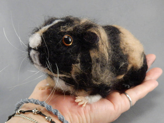 Custom Guinea Pig miniature