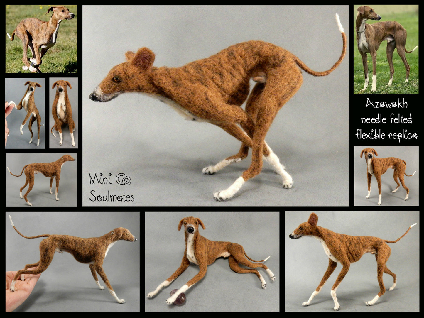 Sighthound needle-felted dog urn portrait Azawakh custom dog replica Sighthound needle felted dog urn portrait Azawakh custom dog replica d