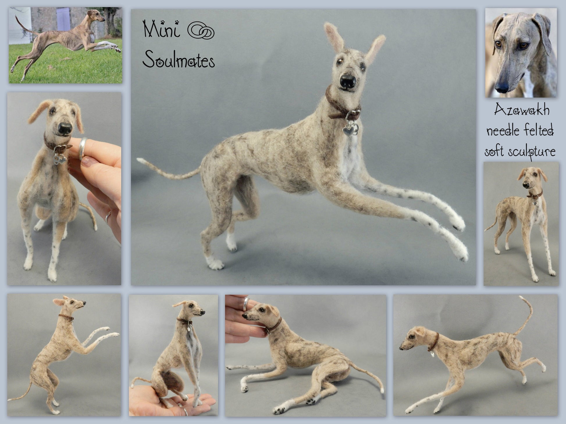 Sighthound needle-felted dog urn portrait Azawakh custom dog replica Sighthound needle felted dog urn portrait Azawakh custom dog replica d