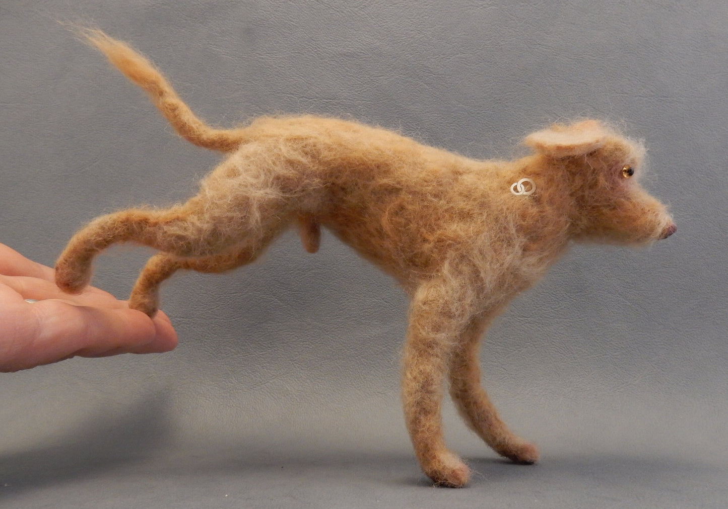 Drahthaar needle-felted dog urn deco