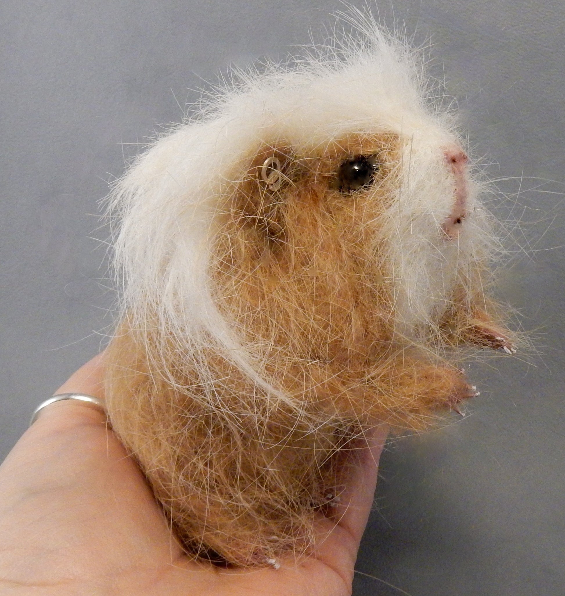 Custom Guinea Pig replica