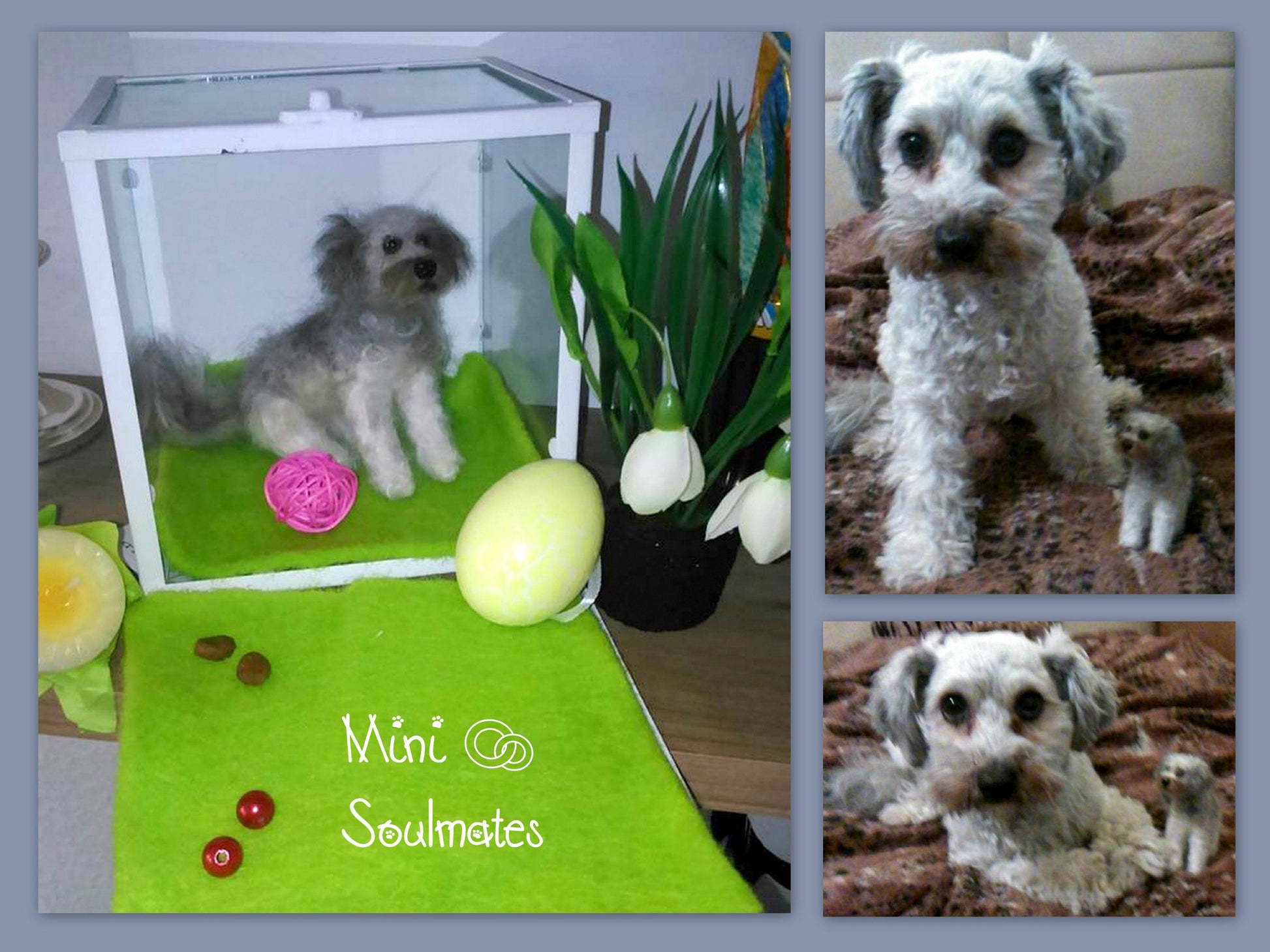 Havanese needle-felted dog miniature custom dog replica