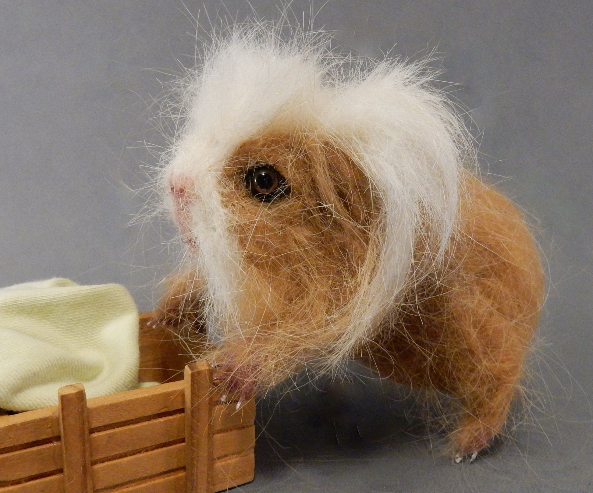 Custom Guinea Pig replica