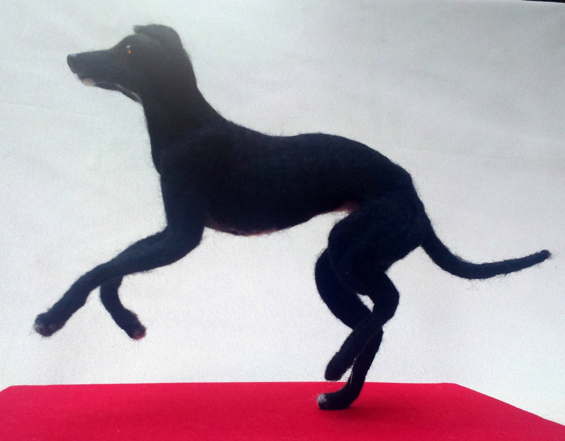 Whippet needle felted dog replica