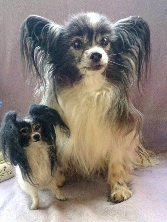 Papillon needle-felted dog sculpture rainbow bridge gift