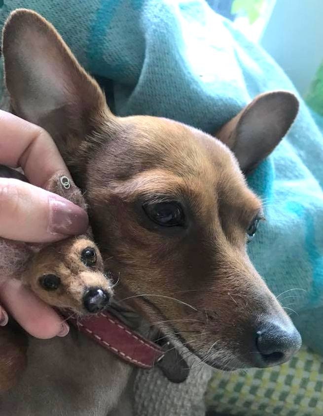 Pinscher pin needle-felted brooch