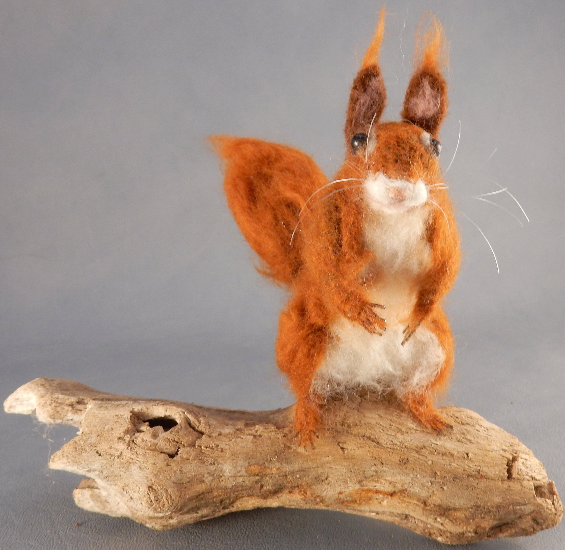 needle-felt Squirrel