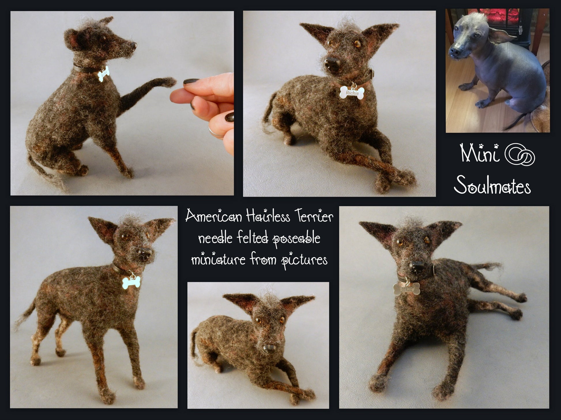 needle-felted dog replica American Hairless Terrier