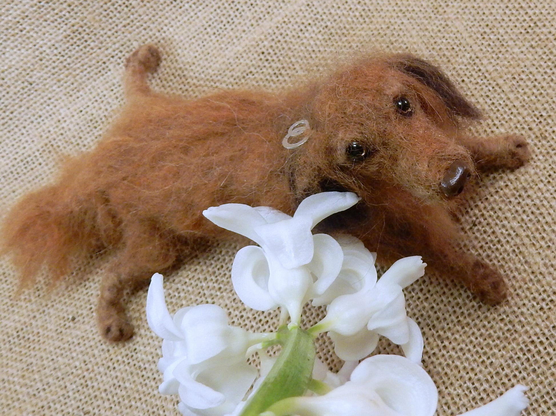 Dachshund replica needle-felted dog miniature