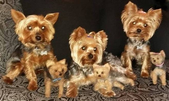 Yorkshire Terrier needle felted dog miniature