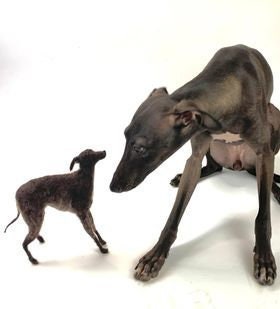 Italian Greyhound needle felted dog miniature custom felted dog replica