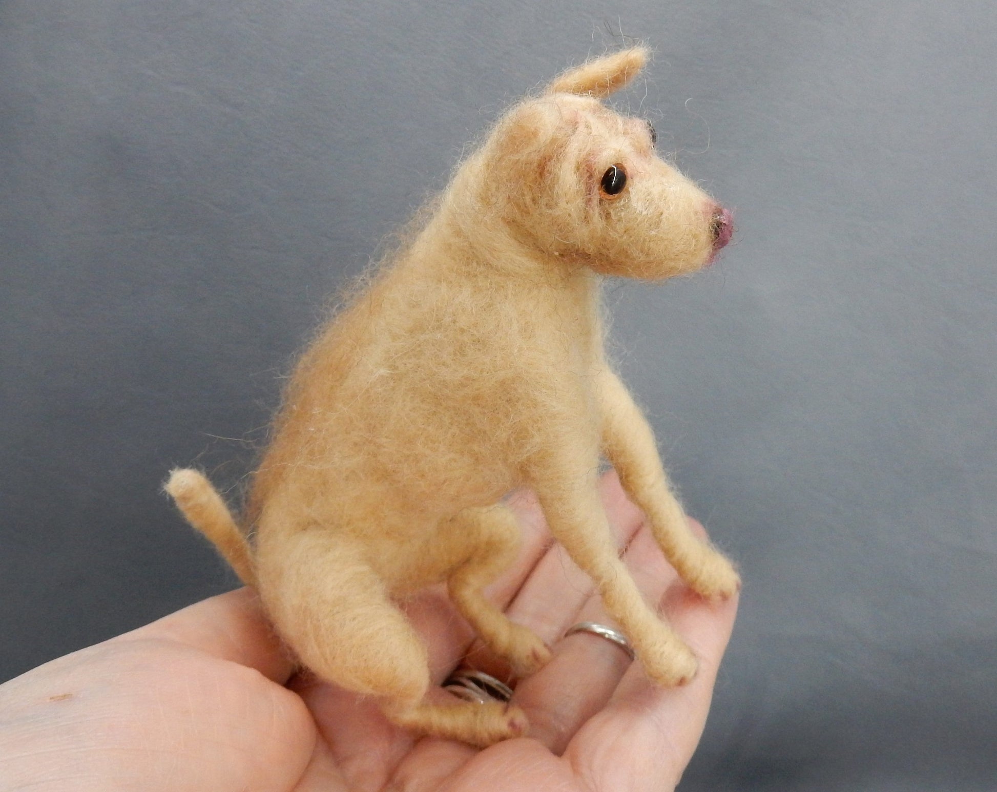 Shar Pei needle-felted dog miniature custom dog replica