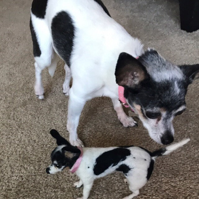 Lilac Fawn Chihuahua needle-felt dog replica