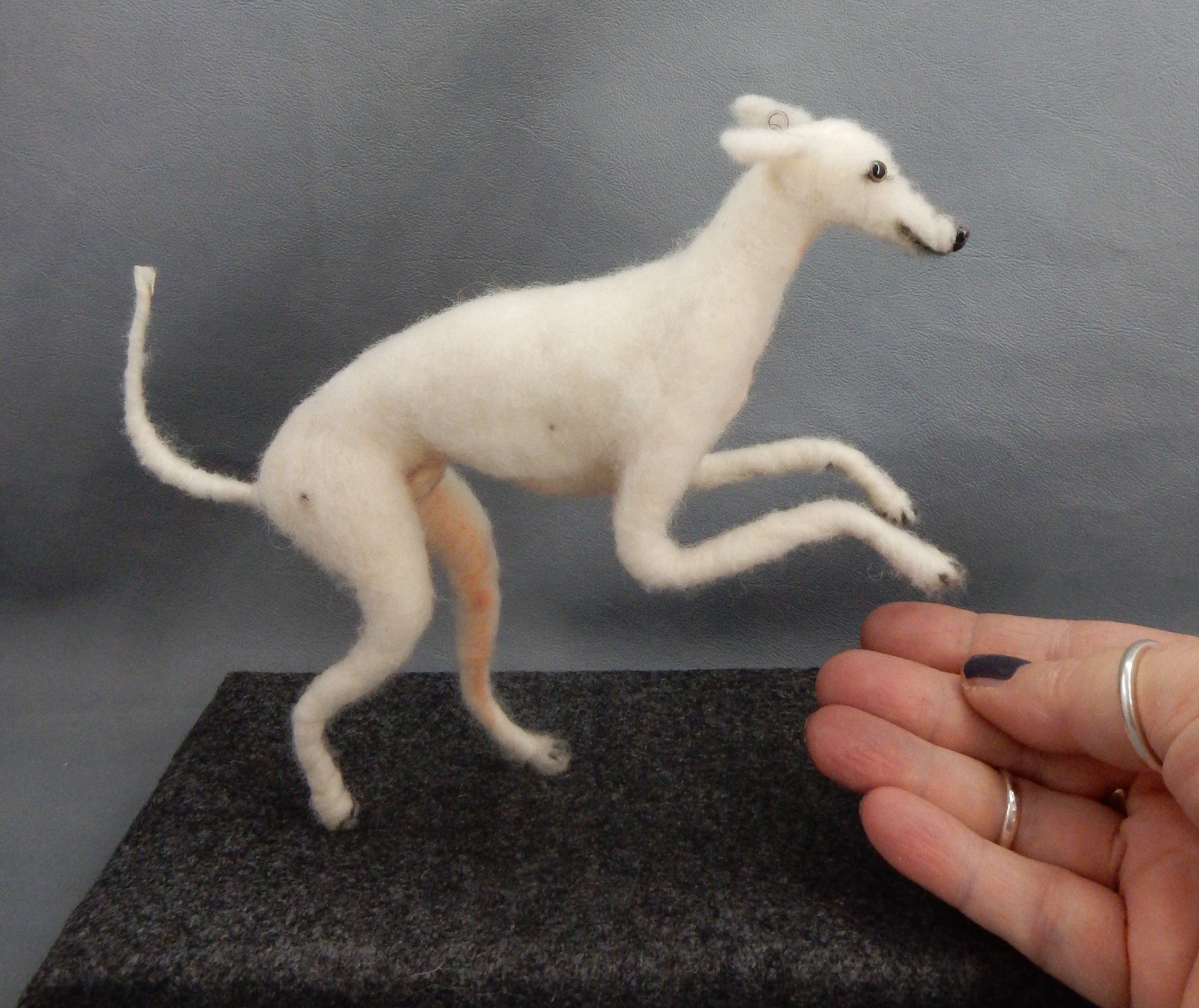 needle-felted dog miniature Faux taxidermy dog mount