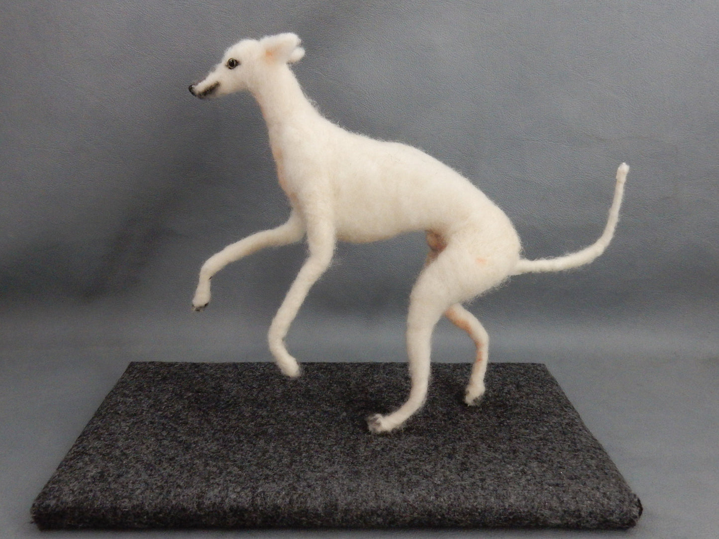 needle-felted dog miniature Faux taxidermy dog mount