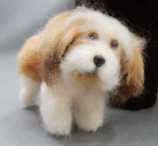 Coton de Tuléar custom dog miniature