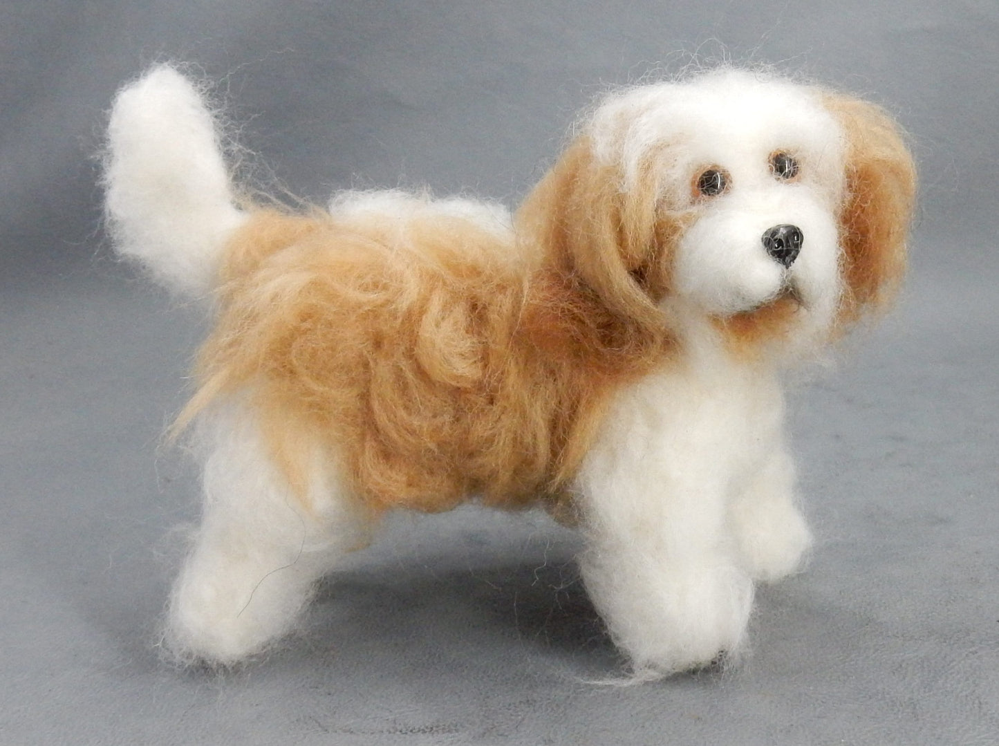 Coton de Tuléar custom dog miniature