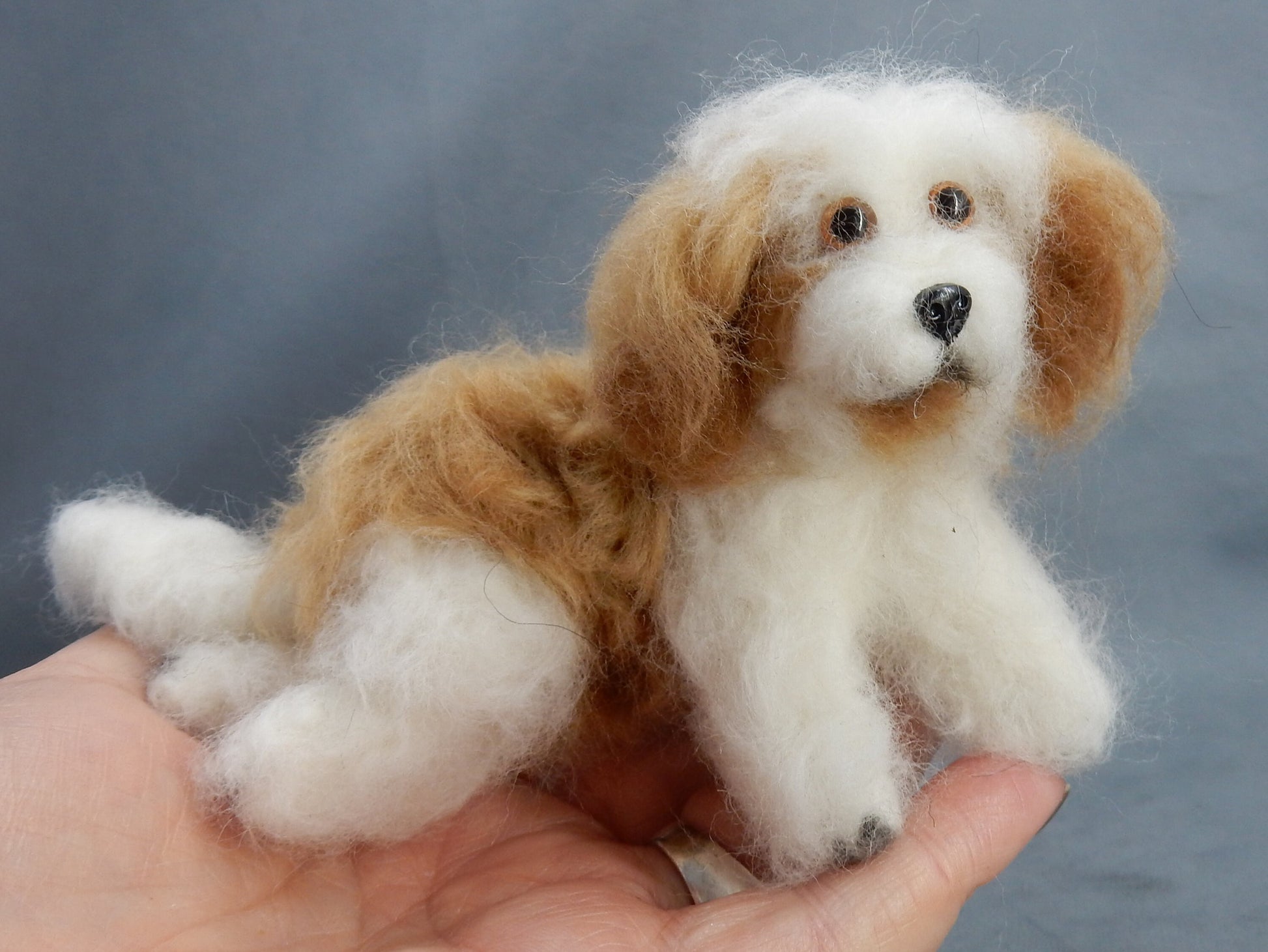 Coton de Tuléar custom dog miniature