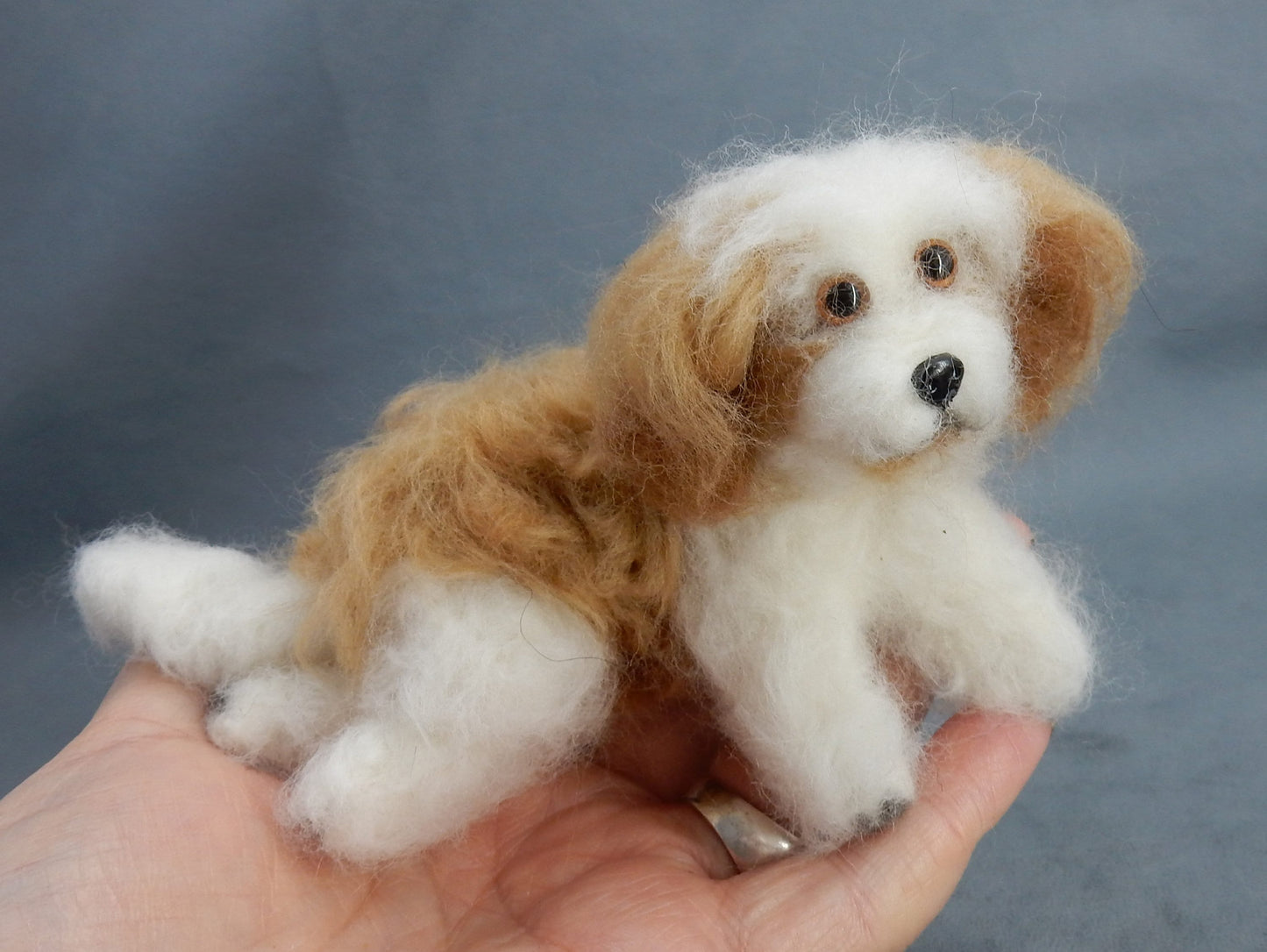 Coton de Tuléar custom dog miniature