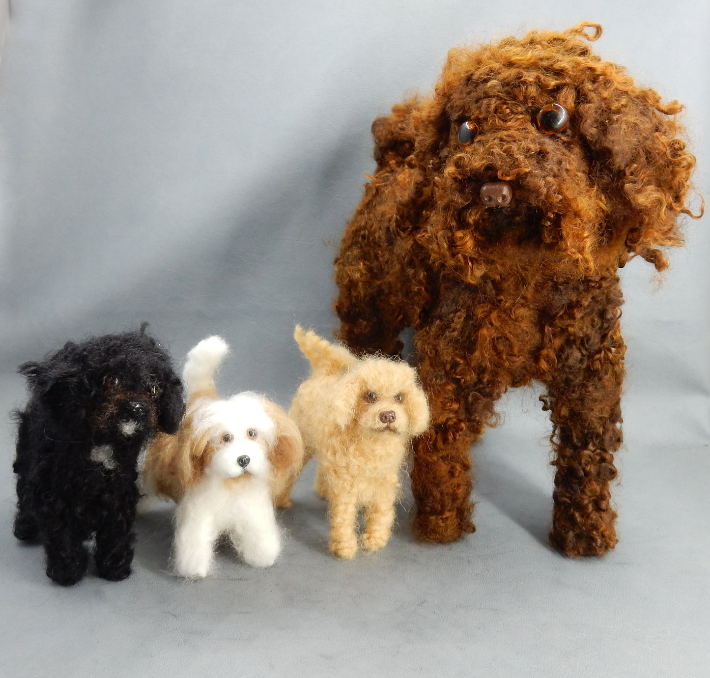 Coton de Tuléar custom dog miniature