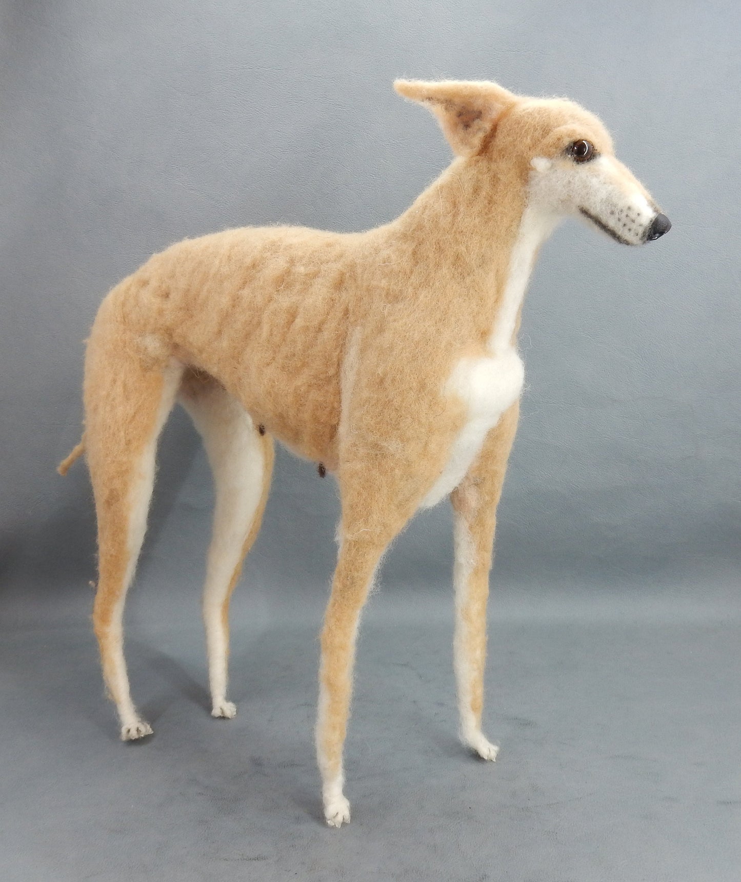 Custom felted Galgo poseable dog replica