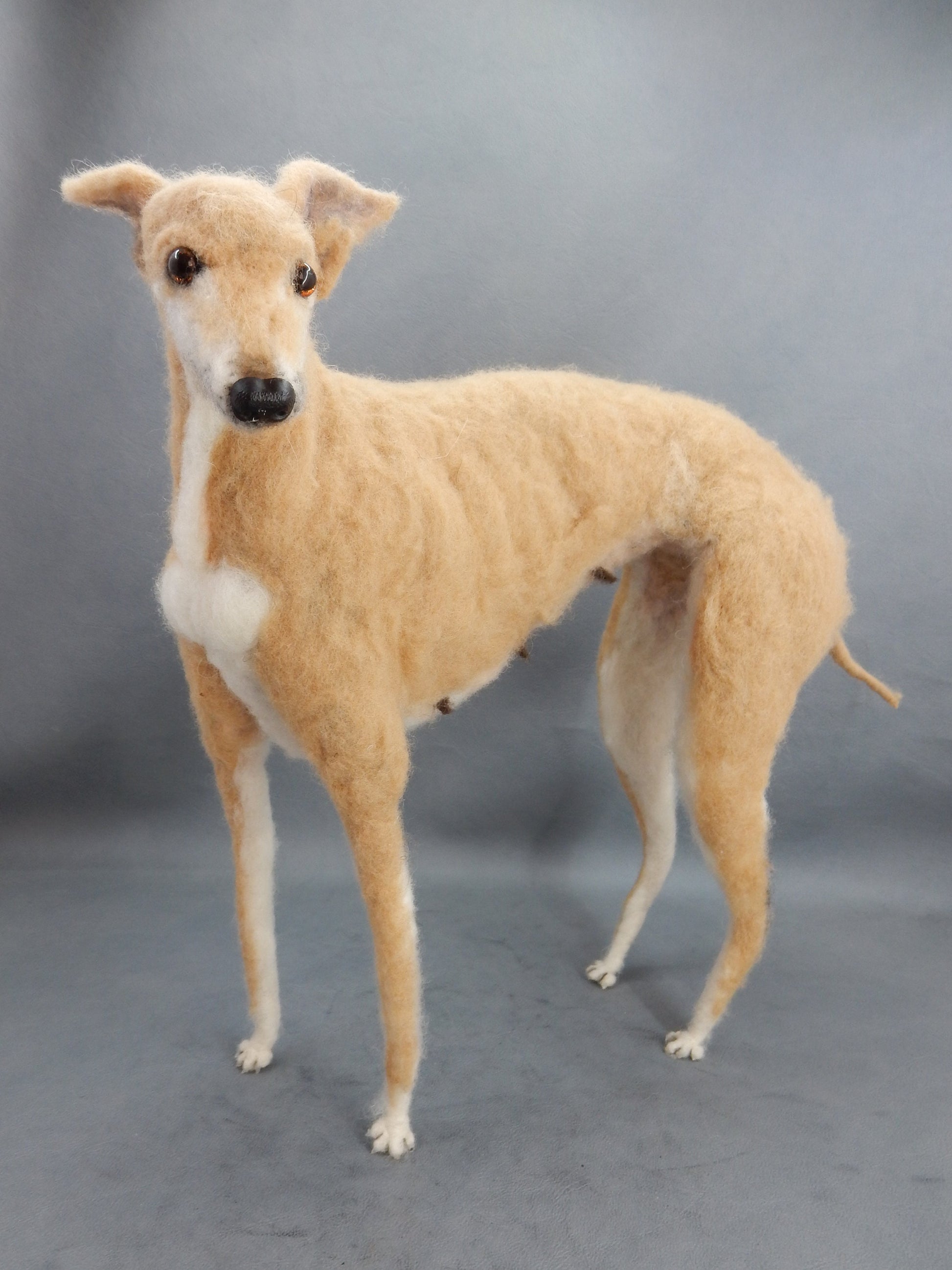 Custom felted Galgo poseable dog replica