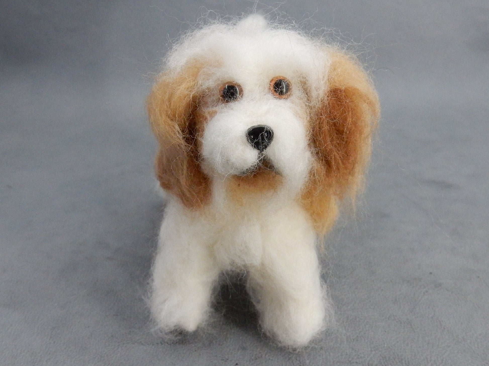 Coton de Tuléar custom dog miniature