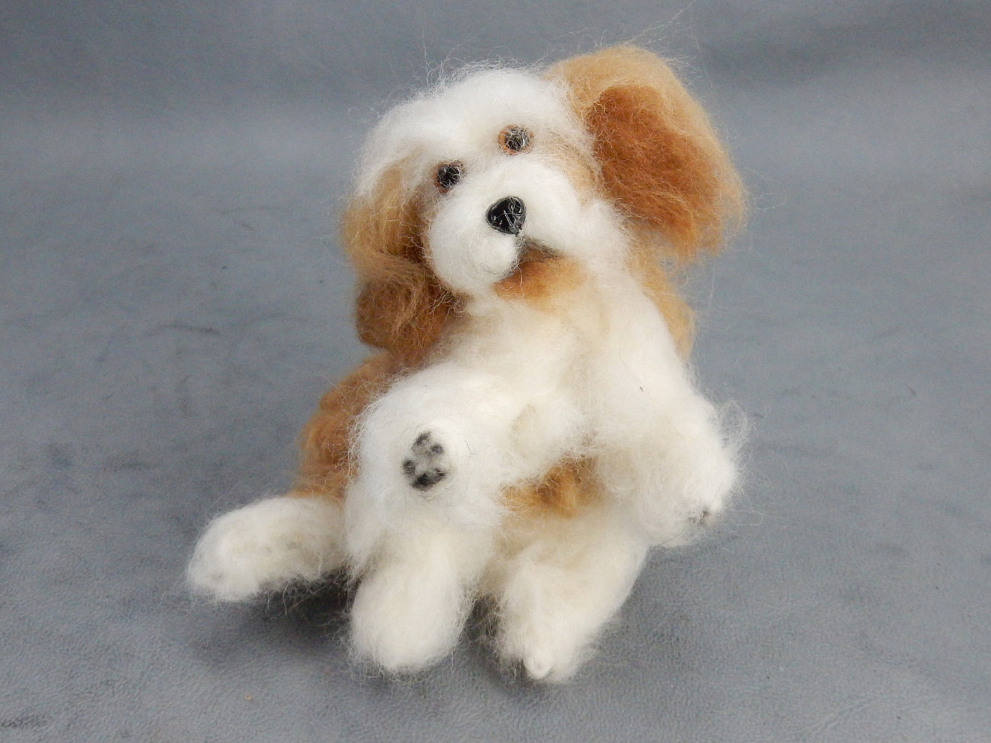 Coton de Tuléar custom dog miniature