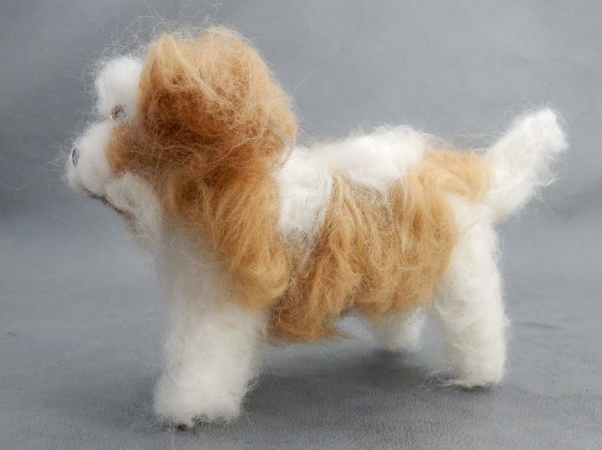 Coton de Tuléar custom dog miniature