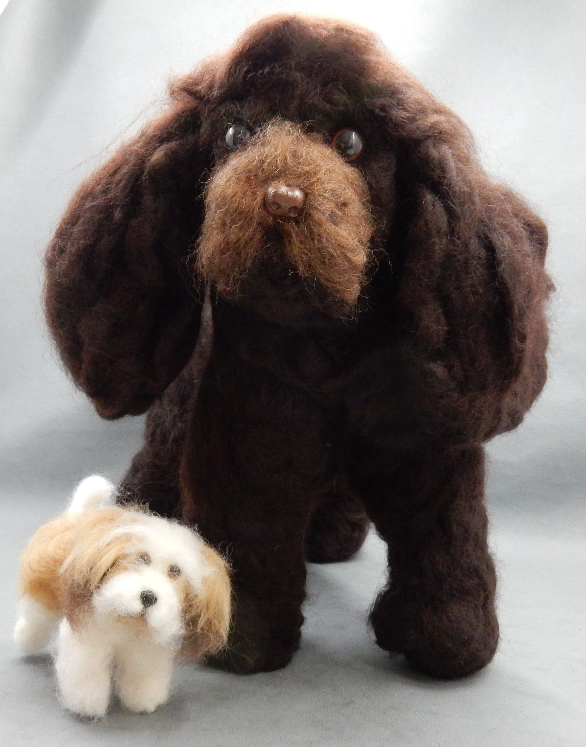 Coton de Tuléar custom dog miniature